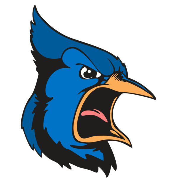 BAW BLUEJAY 03 RC Thumbnail